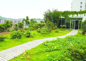 珠海的空中花园在徘徊 需相关政策规范屋顶绿化